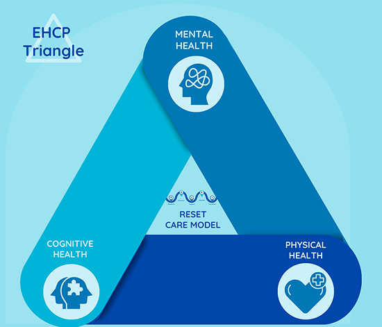 EHCP Triangle